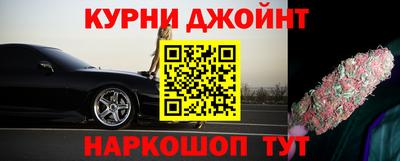 сатива Обь