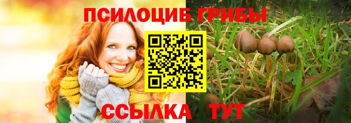 Псилоцибиновые грибы мухоморы Симферополь