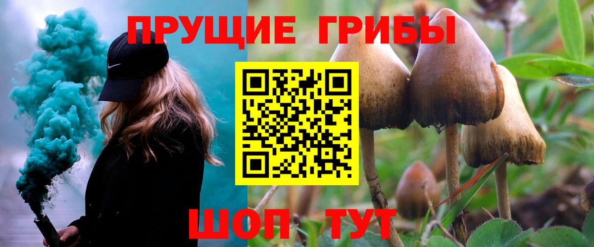 Галлюциногенные грибы прущие грибы  Вход с VPN  Симферополь  Псилоцибиновые грибы Magic Shrooms 