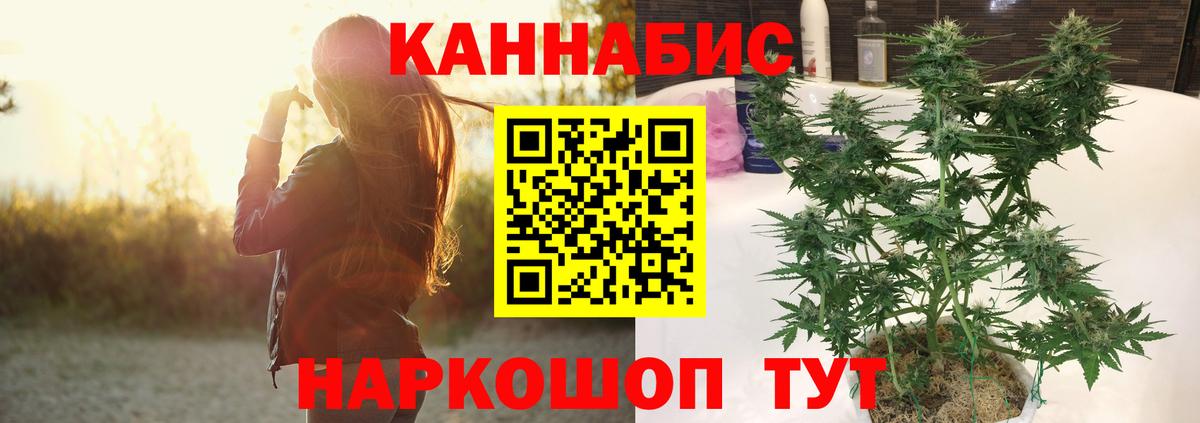 Бошки марихуана марихуана Симферополь